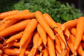 Danvers - Carrot